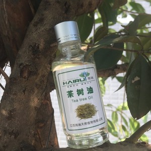 Huile essentielle d'arbre à thé 100% pure et naturelle pour <span class=keywords><strong>les</strong></span> problèmes cutanés et <span class=keywords><strong>les</strong></span> soins des plaies chez la volaille, huile essentielle pour <span class=keywords><strong>les</strong></span> soins des animaux, vente en gros - Product Image 5