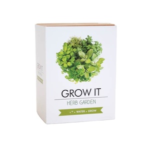 Mini Kit <span class=keywords><strong>de</strong></span> jardín <span class=keywords><strong>de</strong></span> hierbas moderno, maceta <span class=keywords><strong>de</strong></span> <span class=keywords><strong>brotes</strong></span> colgantes para centro comercial, Oficina <span class=keywords><strong>de</strong></span> escritorio y maceta <span class=keywords><strong>de</strong></span> vivero al por mayor - Product Image 1