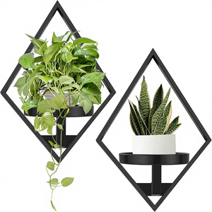 Support mural <span class=keywords><strong>pour</strong></span> plantes en métal peint géant, lot <span class=keywords><strong>de</strong></span> 2, et porte-plantes <span class=keywords><strong>pour</strong></span> fenêtre, <span class=keywords><strong>pour</strong></span> usage intérieur - Chambre à coucher/<span class=keywords><strong>Salle</strong></span> <span class=keywords><strong>de</strong></span> <span class=keywords><strong>bain</strong></span>/Salon/Bureau à domicile - Product Image 1