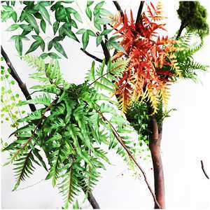 Fabricant de plantes artificielles : Plantes succulentes réalistes et abordables pour la décoration intérieure, stores élégants, volets et fougères artificielles. - Product Image 5