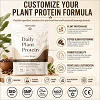 Mélange de café protéiné végétal superalimentaire en sachet 454g – Fournisseur d'usine OEM/ODM pour marque privée