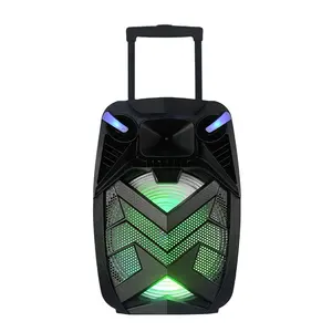 Factory 15 Inch 35W Karaoke Trolley outdoor rechargeable speaker 15 inch active with USB port FM function BT Speaker