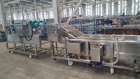 Machine d'emballage de légumes à coussin d'air, Laveuse de légumes à bulles d'air, Équipement de nettoyage pour pommes de terre, carottes, laitues, choux