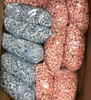 U19 Macaron casque mains libres musique avec micro 3.5MM casque Microphone musique appel haute-fidélité stéréo filaire écouteur pas cher