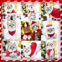 Manteau amusant pour chaton et chat, tenue de Noël avec écharpe et cape pour chien du Nouvel An, chapeau et écharpe d'hiver en polyester, vente en gros