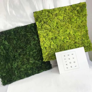 Musgo Eterno para Interiores/Exteriores, Verde Natural, Hecho a Mano, Ecológico, Decoración de Pared, Material para Manualidades, Preservación de Flores para Pascua - Product Image 5