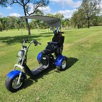 Tricycle électrique pliable étanche 2000W avec GPS pour le marché australien, chariot de golf à 3 roues, scooter à batterie lithium