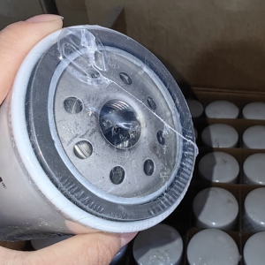 LF716 Hyundai Vidalı Motor Yağı Filtresi için Yeni Yüksek Kaliteli LF716 55213927 B161-S LF3537 - Product Image 5