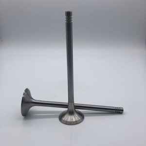 奥迪Q7 4.2杆C6 4.2 BAT BBK BHF A8 4.0T OE 06E109601E 06D109611H的工厂价格锻造发动机进气门排气门 - Product Image 2