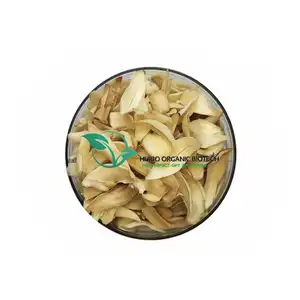 Tranches d'ampoules de lys séchées/Bulbus Lilii - Product Image 1