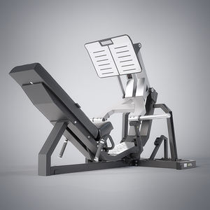 Presse à jambes Poitrine 45 Gym Inclinaison Épaule Squat Linéaire Large <span class=keywords><strong>Banc</strong></span> Fitness À Genoux Curl Machine Latérale à Vendre Assis Triceps Dip - Product Image 2