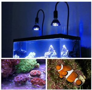 Lampe <span class=keywords><strong>LED</strong></span> d'<span class=keywords><strong>aquarium</strong></span> 18W, éclairage pour <span class=keywords><strong>Aquarium</strong></span> avec 6 bandes, spectre complet pour entretien du poisson - Product Image 4