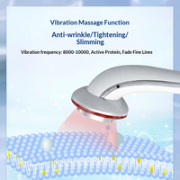 Mini masseur corporel rechargeable portable pour le remodelage du corps et la réduction de la graisse