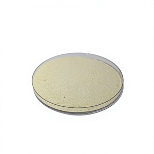 Natural Mixed Tropical Juice Powder Spray Dried <b>Fruit</b> Powder Vacuum Packed Food Grade <b>for</b> Beverage Food Applications Instant - Product Image 3