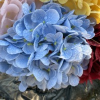 Bunga Hydrangea Artifisial Realistis Lateks Grosir Lembut Imitasi Dekorasi Rangkaian Bunga Pernikahan
