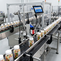 Imprimante à jet d'encre en ligne continue à écran de 4.3 pouces pour l'emballage Date d'expiration Code QR Lot Papier Sac Codage