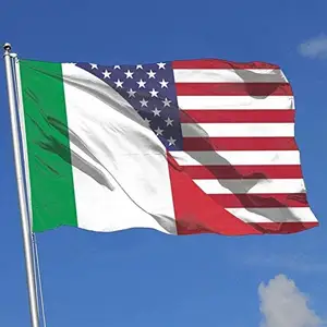 Bandiera dell'amicizia USA America in poliestere personalizzato 3x5 piedi con passacavi in ottone