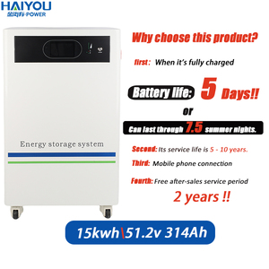 Batterie de stockage d'énergie solaire intelligente à haute compatibilité, grande capacité 15 kWh 51,2 V 314 Ah, pour la sauvegarde - Product Image 3