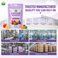 Gummies à la caféine naturelle OEM avec L-Théanine, 60 unités, complément énergétique et pour la concentration