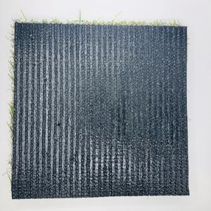 Biodégradable <span class=keywords><strong>graine</strong></span> d'herbe <span class=keywords><strong>de</strong></span> <span class=keywords><strong>tapis</strong></span> <span class=keywords><strong>de</strong></span> <span class=keywords><strong>gazon</strong></span> artificiel <span class=keywords><strong>tapis</strong></span> - Product Image 6