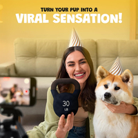 Kettlebell durable et drôle en peluche avec effets sonores accessoires d'haltérophilie jouet pour chien V008 vente en gros