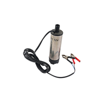 Pompa Ekstraktor Oli 12V Elektrik Diesel 24V DC Dispenser Bahan Bakar Pompa Hisap Oli Submersible Kecil OEM Industri Otomotif