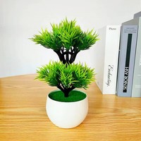 Tanaman Sukulen Bonsai Plastik PVC Mini Aneka Ragam Grosir - Dekorasi Taman Dalam Ruangan Ramah Lingkungan