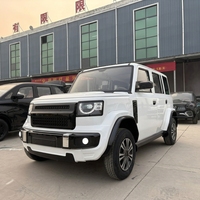 Véhicule Électrique Cinq Portes Quatre Places Grand Espace Luxe Nouvelle Énergie Voyage Tourisme Trajet Quotidien 3000W XINGPENG Phares LED