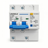 Disjoncteur différentiel RCBO ELCB DZ47-100LE 2P 100 Ampères, protection contre les fuites, montage sur rail DIN, 230V AC, pour tableau de distribution, CE IP20