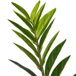 Usine chinoise Offre Spéciale plantes artificielles de taille différente arbre bonsaï pour la décoration de la <span class=keywords><strong>maison</strong></span> - Product Image 4