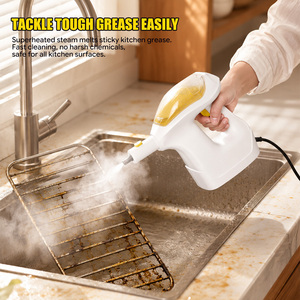 Nettoyeur Vapeur Électrique Portable <span class=keywords><strong>avec</strong></span> Réservoir d'Eau Transparent pour Nettoyage en Profondeur de Voitures, Hôtels et Usage Domestique - Product Image 3