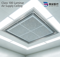 Ruang Operasi Plafon Alir Udara Laminar Kelas 100 Baru dengan Filter HEPA H14, Desain Modular untuk Ruang Operasi Rumah Sakit