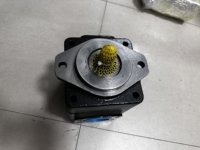 Pompa Hidrolik Vane Tekanan Tinggi YYG untuk Crane Excavator Loader-Parker Seri T6 Model Denison T6C 012 1R00 B1 Baru Guangdong Garansi 1 Tahun