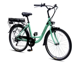 TXED EU warehouse 26 inch electric bike 36V 250W classic rear motor 7 speed V brake green city e bike