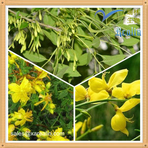 공장 공급 제니스타 팅토리아 추출물 제니스테인 분말 CAS 번호 446-72-0 제니스테인 - Product Image 5