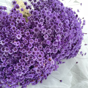 Miglior prodotto di vendita fiori secchi piccola stella fiore brasiliano stella per fiori decorativi ghirlande e piante - Product Image 1