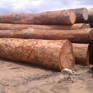 Troncos de Azobé Premium de Alta Densidad, Resistentes y con Gran Capacidad de Carga, para Estructuras de Construcción Pesadas, Venta al por Mayor Global - Product Image 4