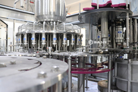 Machine de remplissage automatique économique pour jus d'ananas en bouteilles plastiques, prix usine