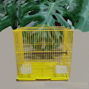 ขายส่งนกพิราบขนาดใหญ่สำหรับเพาะพันธุ์ - Product Image 3