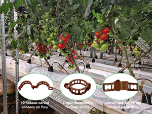 Clips de vigne en plastique brun durable pour les orchidées de soutien de <span class=keywords><strong>tomate</strong></span> cultures de serre équipement hydroponique treillis de plantes - Product Image 6
