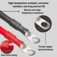 Câble d'interface de batterie polyvalent 70 mm² avec cosses robustes pour connexion de grands racks de stockage de batteries résidentielles CE