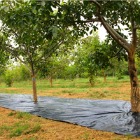 Chine usine PP/PE plastique tissé sol Anti-herbe tapis de contrôle des mauvaises herbes pour l'agriculture/serre