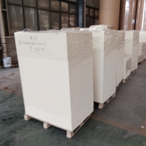 Lámina de Cartón Recubierta de PE de Grado Alimenticio, de Una o Dos Capas, con Logotipo Personalizado, Papel Pergamino para Uso en Vasos, para Envasado de Alimentos - Product Image 4