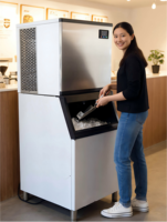 Machine à glaçons industrielle de 320 kg, refroidie par air, homologuée UL, pour l'Amérique du Nord, les grands restaurants et les cafés philippins