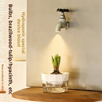 Pot de fleurs transparent auto-arrosant respirant pour bulbes, idéal pour la culture hydroponique de tulipes, lys et jacinthes