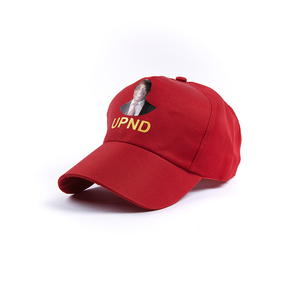 Camiseta electoral barata con logotipo personalizado, manga corta, 100% poliéster, 120 g/m², artículos para campañas políticas. - Product Image 2