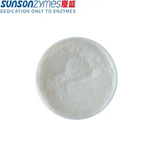 Industrial Grade Lipase Enzyme Industrial Grade Granule Alkaline Lipase Enzyme Powder Enzyme For Fabric Stain Remover Leather Degreasing