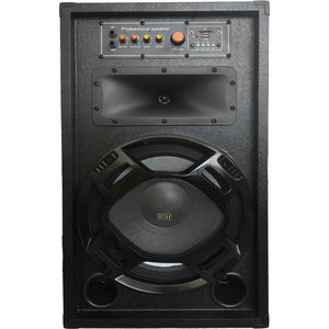 Altavoz Profesional para Web de 12 Pulgadas, Amplificado, Bluetooth, 250W de Potencia Máxima - Product Image 2