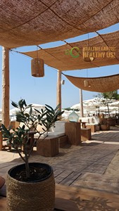 Natural Coir Rectangle <b>Sun</b> <b>Shade</b> Sail-Custom Size Coconut Fiber Sunshade with Steel Rings Beach Use Low MOQ by ECO2GO Vietnam - Product Image 6