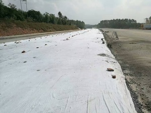 <span class=keywords><strong>Géotextile</strong></span> non tissé en fibre de polyester 150-300g utilisé pour les projets de conservation des eaux usées et les pistes d'aéroport - Product Image 5